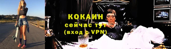 мяу мяу мука Белокуриха