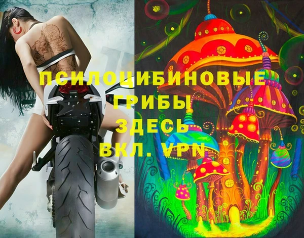 дживик Беломорск