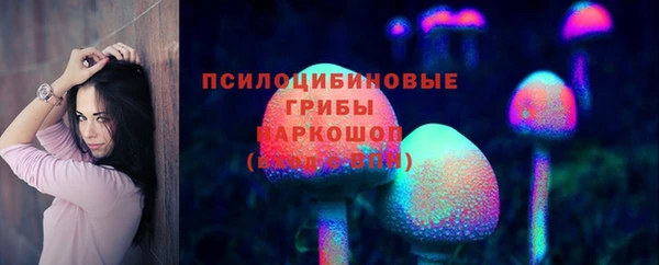 мяу мяу мука Белокуриха