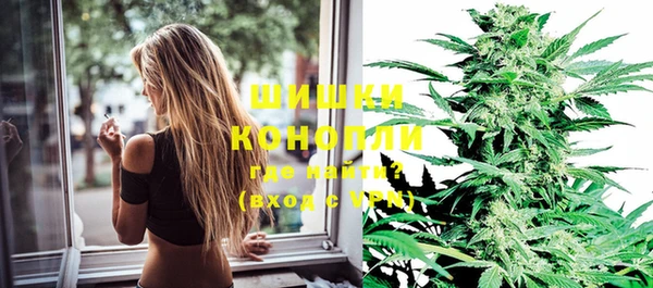 дживик Беломорск