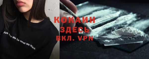 сатива Богородицк