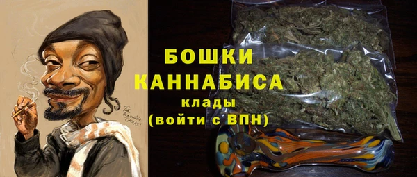 PSILOCYBIN Белоозёрский