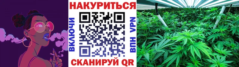 Бошки Шишки SATIVA & INDICA  купить наркотики цена  Горнозаводск 
